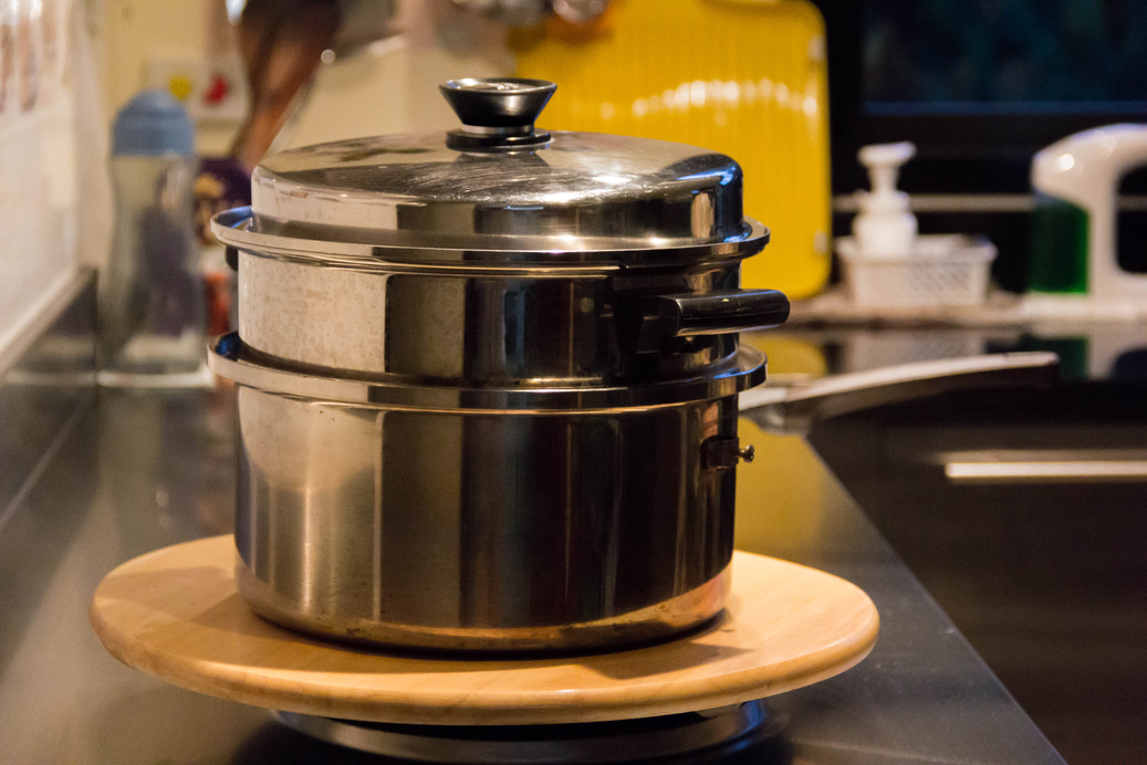Stainless boiler steamer