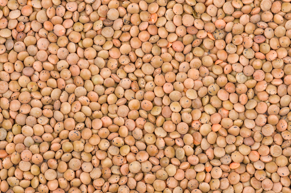 Lentils Texture