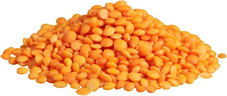 Cut Out of Lentils