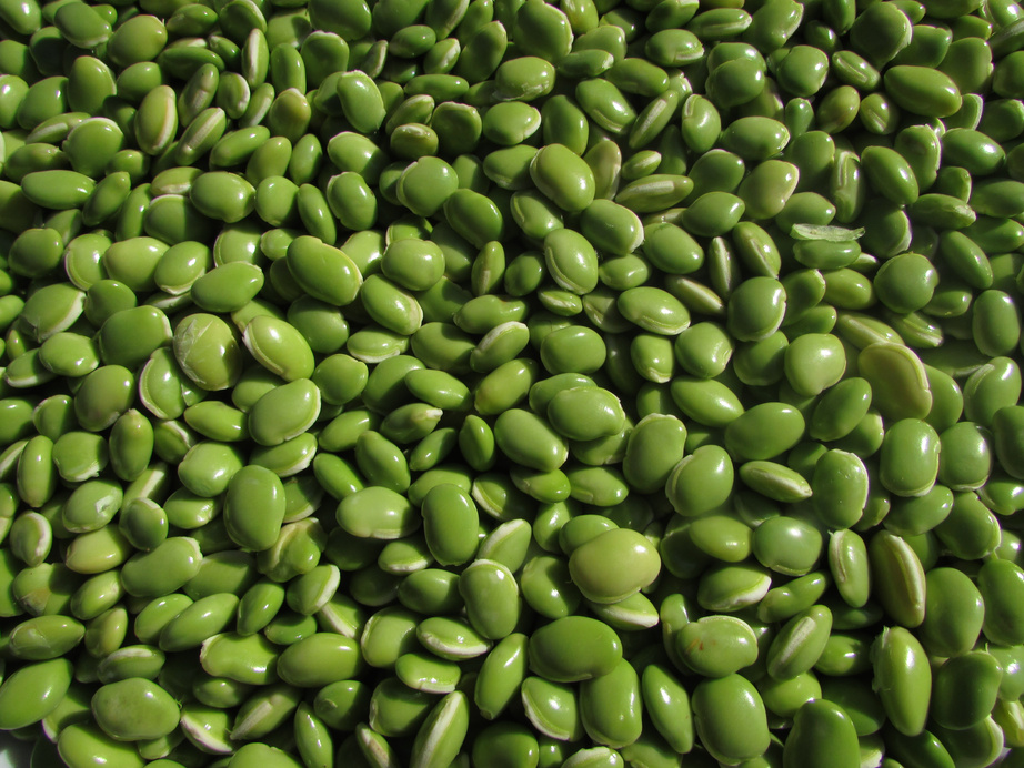 Green Beans Background