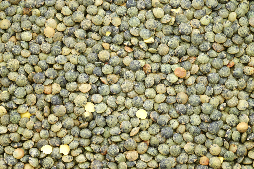 French green lentils (lentilles du Puy)