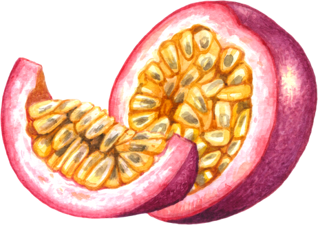 Passion fruit watercolor elements clipart
